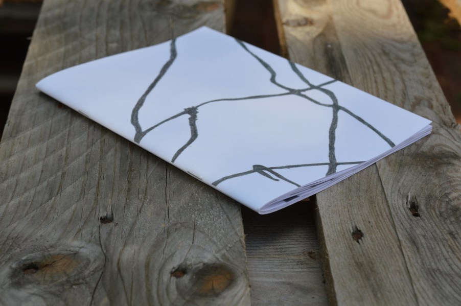 Linienbilder_und_Gedichte-1-Foto_KFK